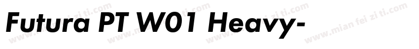 Futura PT W01 Heavy字体转换